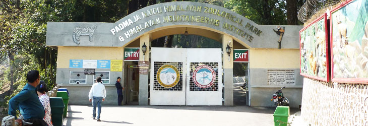 Padmaja Naidu Himalayan Zoological Park