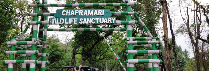 Chapramari Wildlife Sanctuary