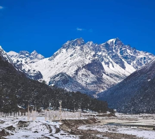 North Sikkim, Lachen & Lachung Sharing Tour