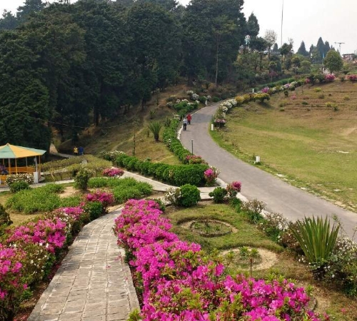 HIMALAYAN GOLDEN TRIANGLE